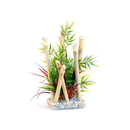 Rosewood Bamboo & Plant