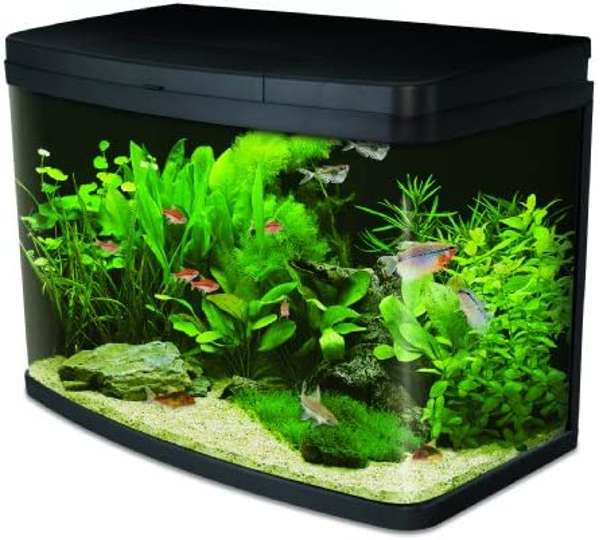 Interpet Aquarium Insight