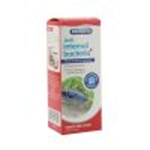 Interpet Treat Anti Internal Bacteria Plus