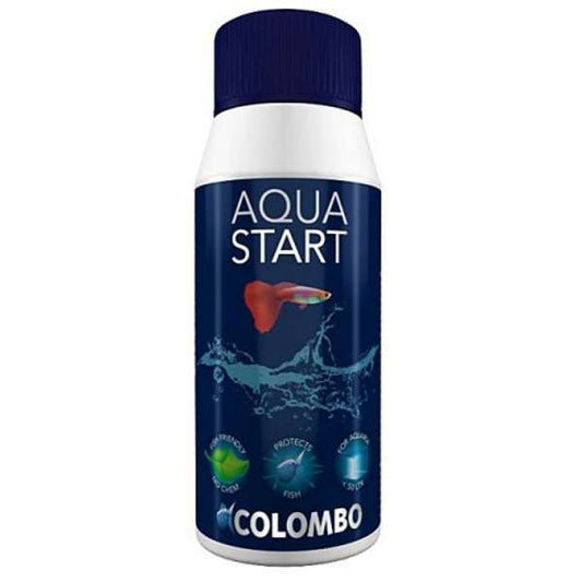 Colombo Aqua Start Production