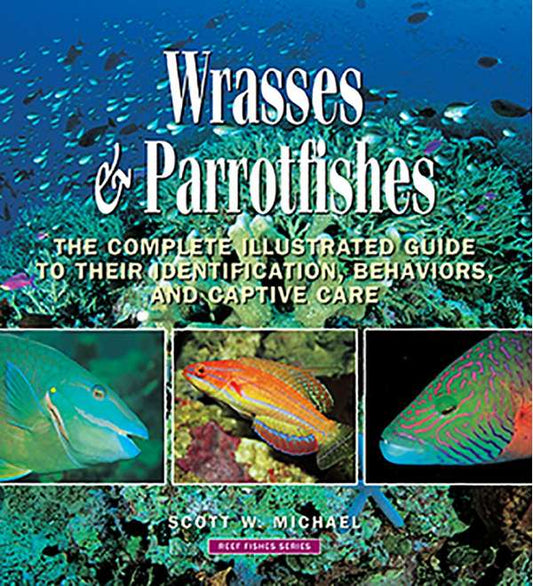 Interpet Pet Brands Wrasses & Parrotfishes